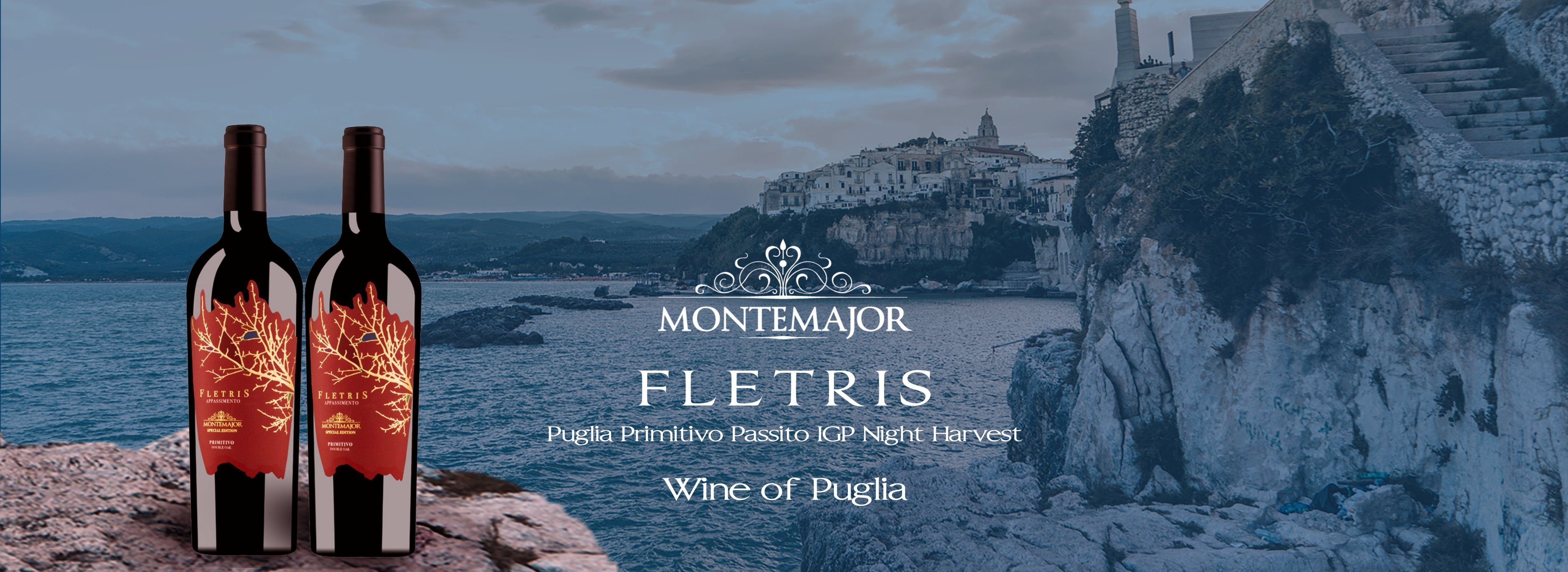 vang-y-fletris-montemajor