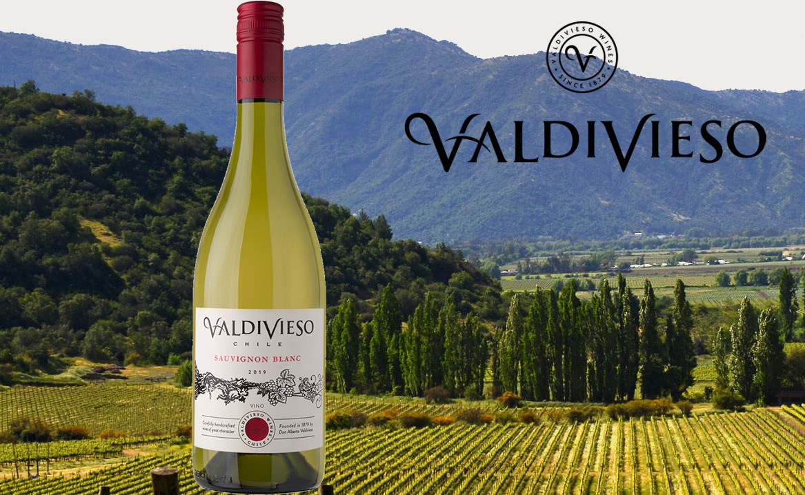 RƯỢU VANG CHILE VALDIVIESO CLASSIC SAUVIGNON BLANC