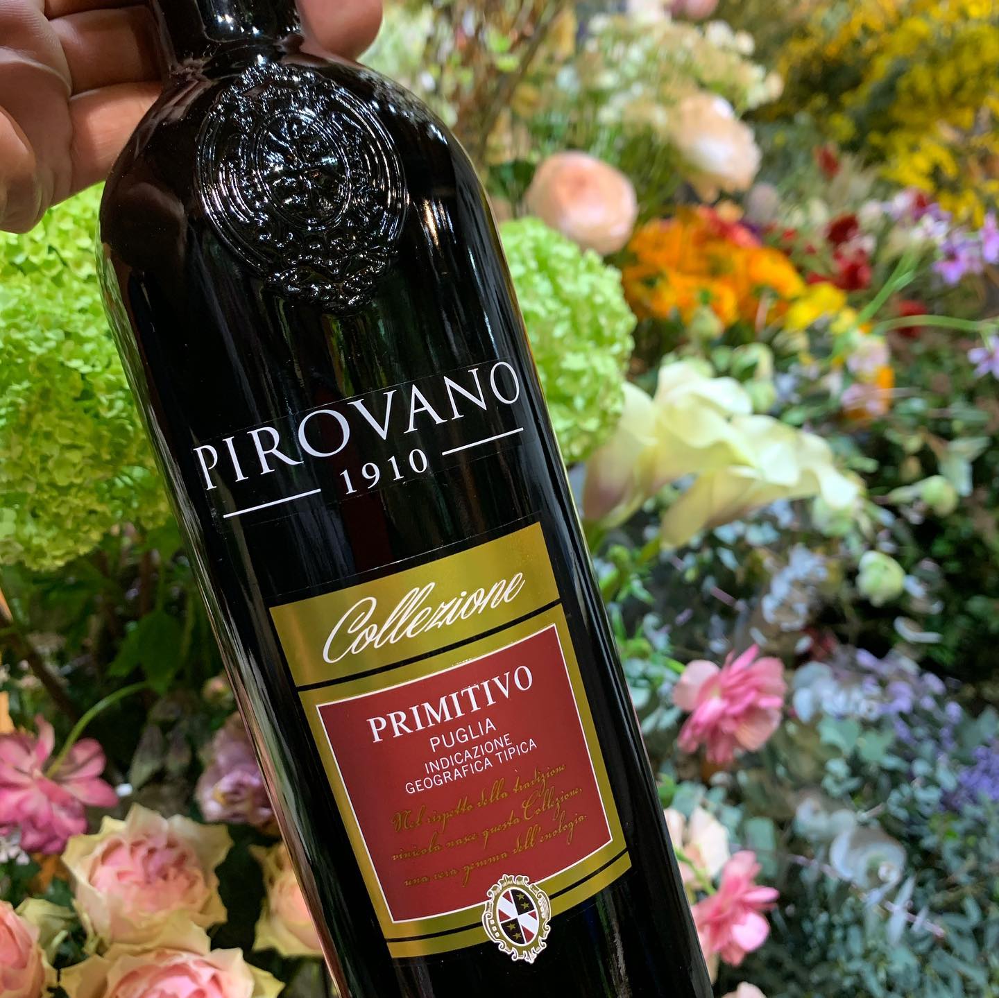 Vang Ý Pirovano Primitivo Puglia