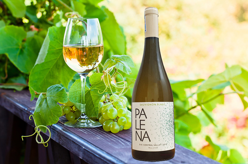 Rượu Vang Trắng Palena Sauvignon Blanc