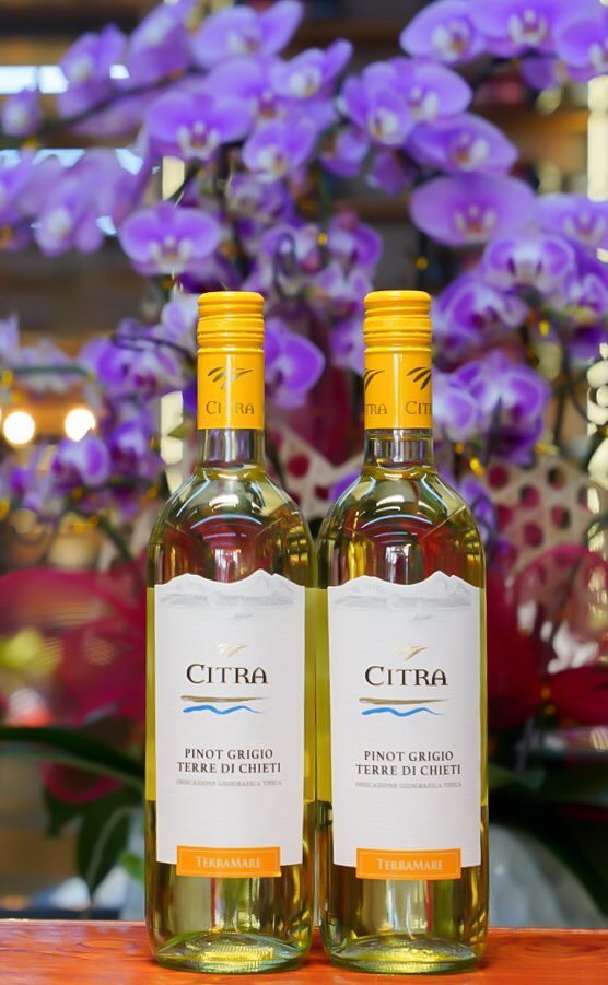 Rượu vang Ý Citra Pinot Grigio Terre di Chieti